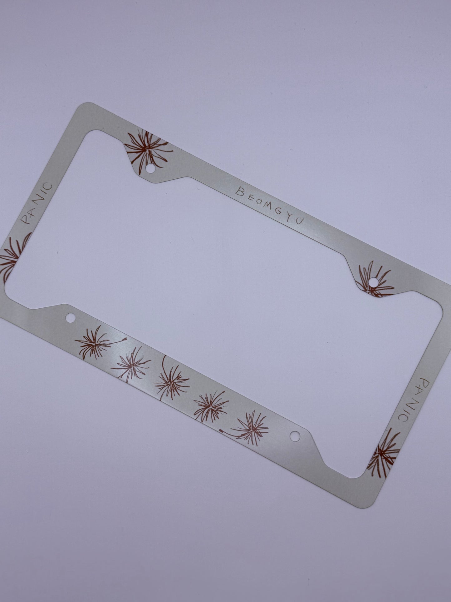 Tomorrow x Together Beomgyu Panic Themed License Plate Frame