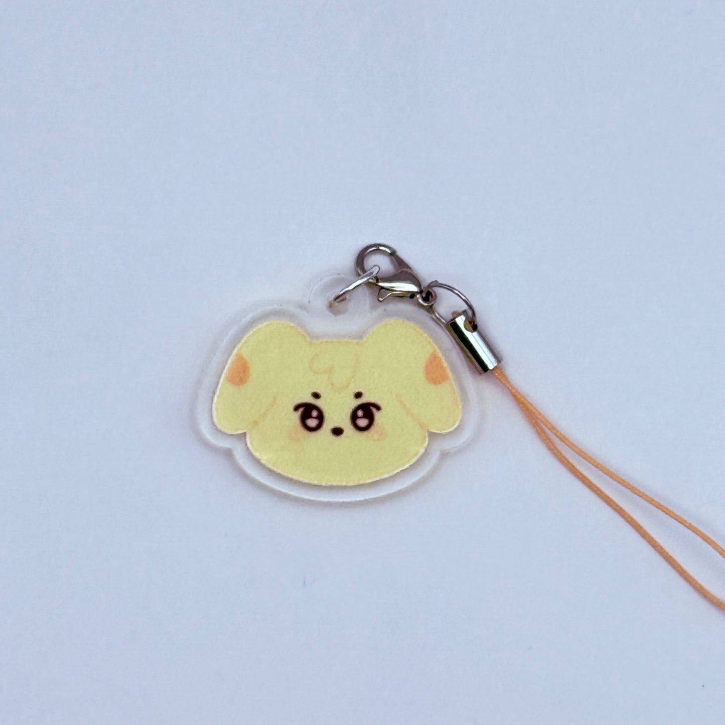 ANITEEZ Double-Sided Phone Charm